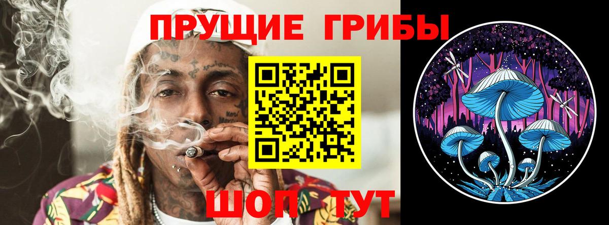 Галлюциногенные грибы мухоморы Югорск