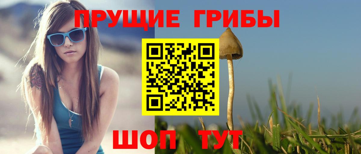 Югорск  Псилоцибиновые грибы Psilocybe  Вход с VPN  Галлюциногенные грибы MAGIC MUSHROOMS 